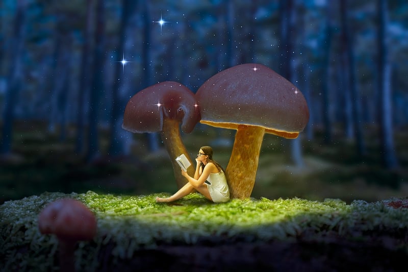 Enchanted gardens