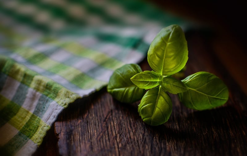 Whimsical herbs