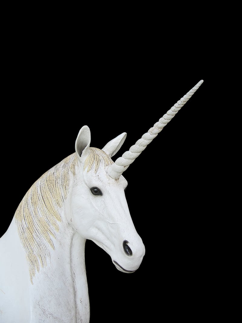 Unicorn Sentinel